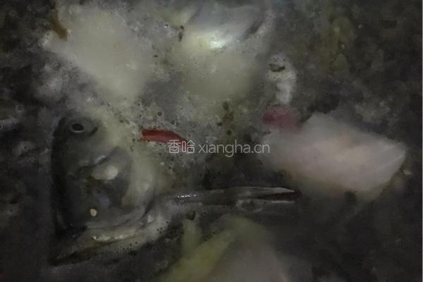 酸菜鱼的做法图解7