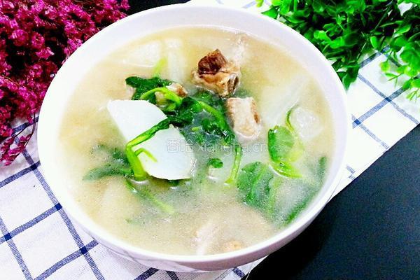 青菜萝卜排骨汤的做法图解9