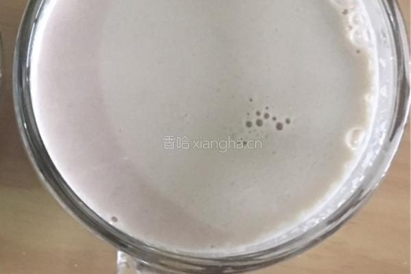 红枣核桃花生露的做法图解4