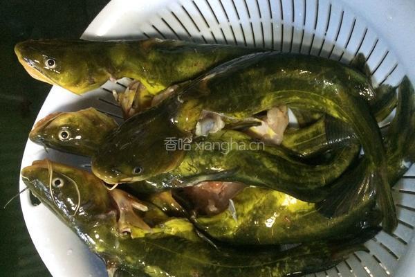 黄丫头煮豆腐的做法图解1