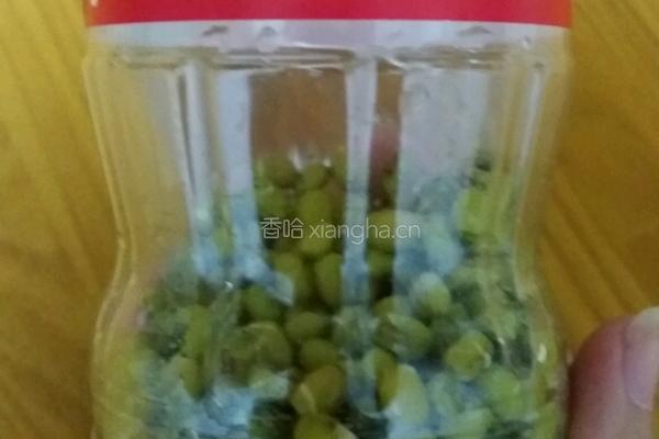 手把手教你泡发可乐绿豆芽的做法图解5