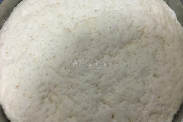 茴香小肉包的做法图解4