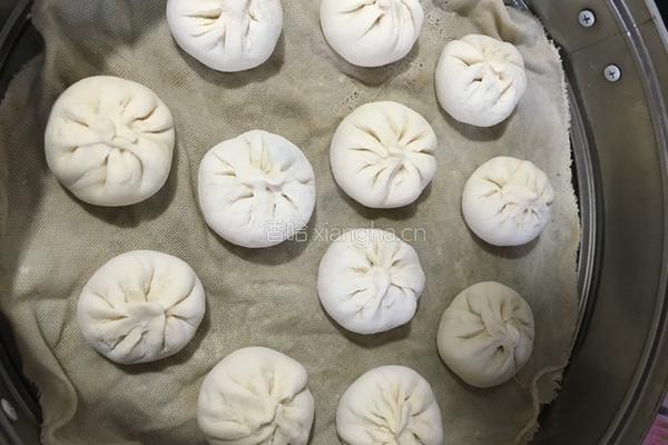 茴香小肉包的做法图解6