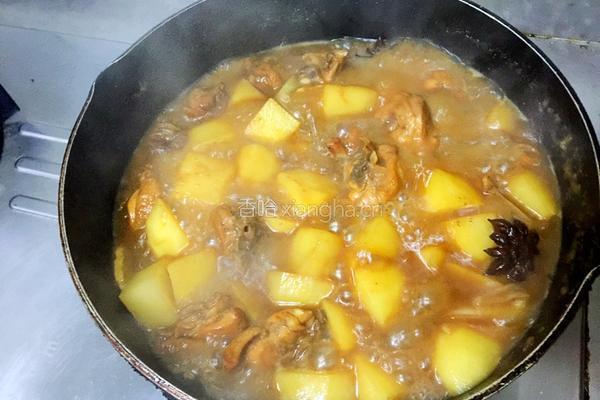 土豆炖鸡的做法图解9