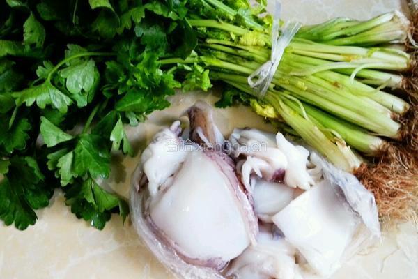 芹菜炒乌贼的做法图解1