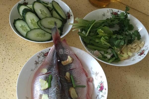 香辣麻烤鱼的做法图解1