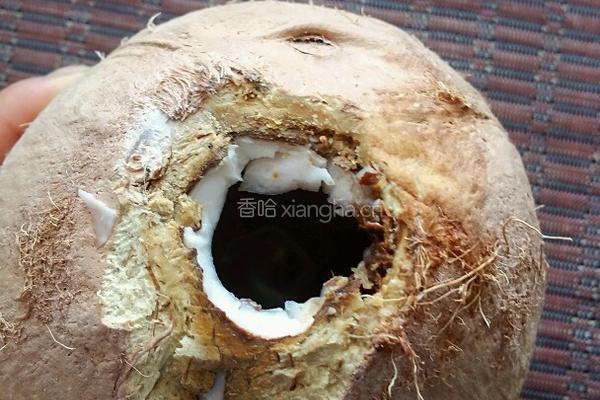 自制海南椰子饭的做法图解4