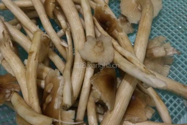 茶树菇炖鸡汤的做法图解1