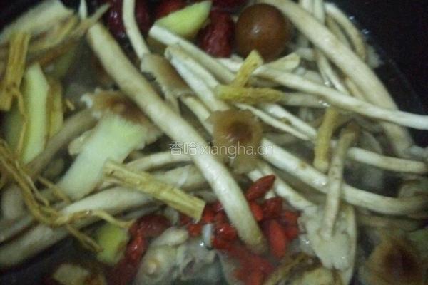 茶树菇炖鸡汤的做法图解4