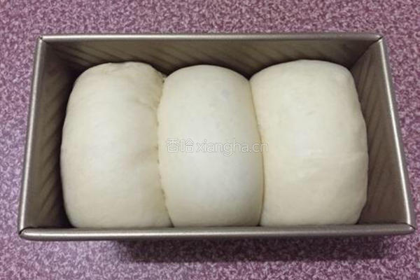葡萄干土司的做法图解14