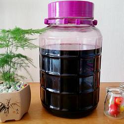 桑葚酒的做法[图]