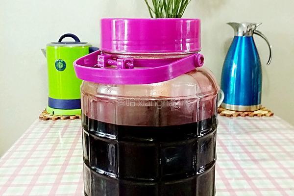 桑葚酒的做法图解4