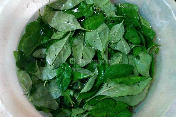 枸杞叶鸡蛋汤的做法图解2