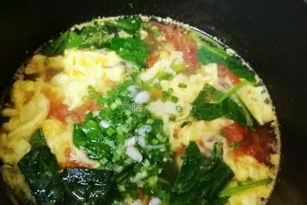 番茄蛋花汤的做法图解5