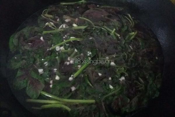 苋菜粉丝汤的做法图解3