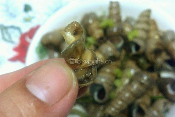 辣炝海锥的做法图解9