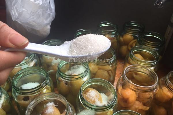 自制纯天然枇杷罐的做法图解3