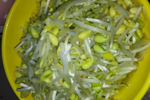 上饶美食灯盏粿的做法图解7