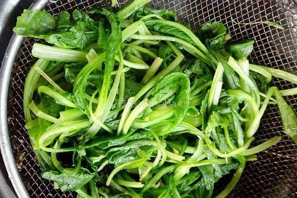 蒜蓉小白菜的做法图解4