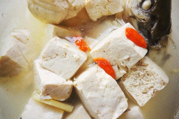枸杞鲫鱼豆腐汤的做法图解3