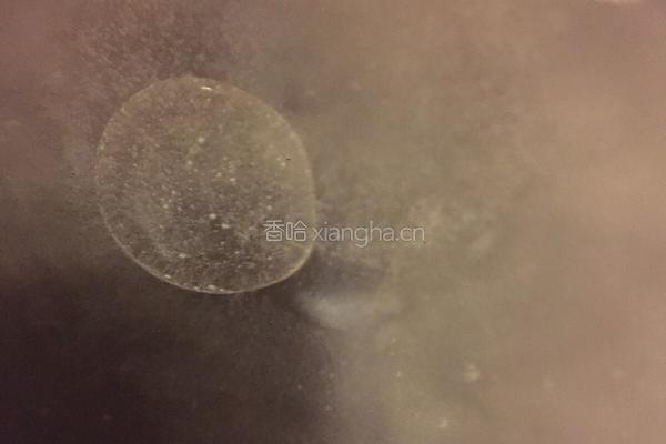 蚝油生菜的做法图解1