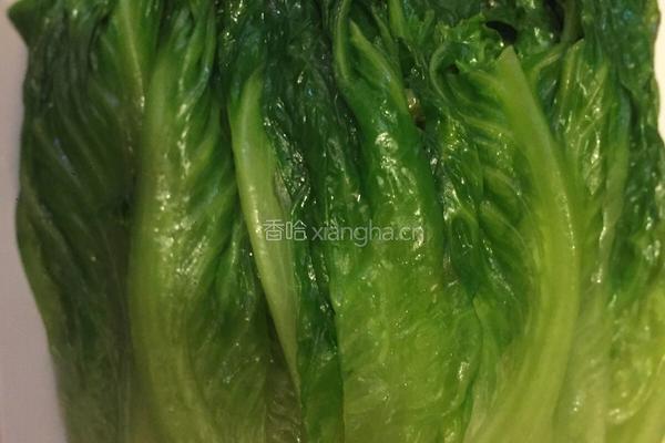 蚝油生菜的做法图解5