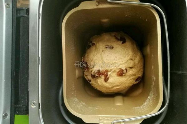 面包机肉桂葡萄干全麦贝果(肉桂卷)的做法图解5