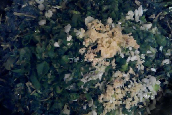 野菜大馅饺子的做法图解4