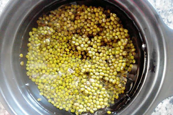 绿豆茶的做法图解3
