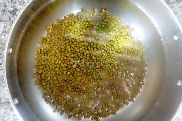 绿豆茶的做法图解5