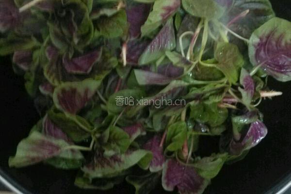 蒜香苋菜的做法图解3