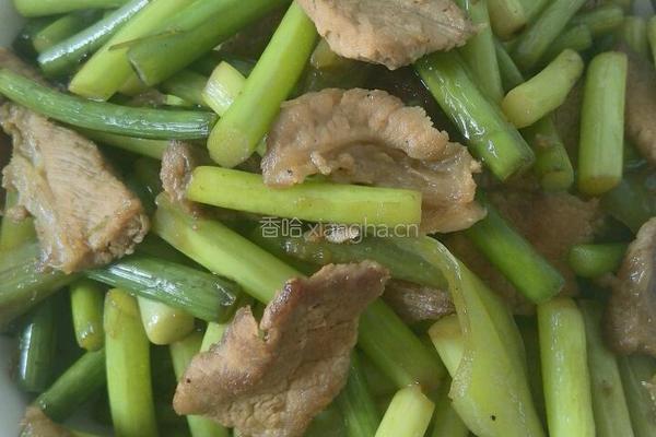 蒜台炒肉的做法图解4