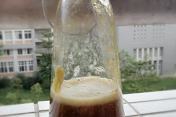 青梅酱的做法图解4