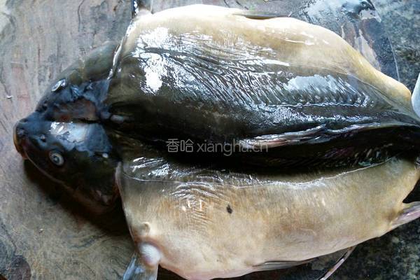 香辣万州烤鱼的做法图解2