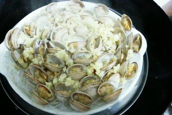 蒜蓉粉丝蒸蛤蜊的做法图解8