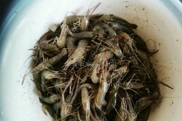 炸湖虾的做法图解2