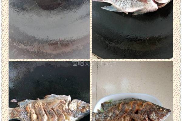 红烧罗非鱼的做法图解4