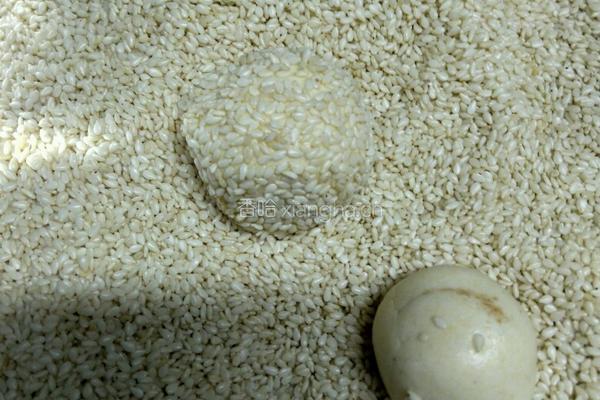 黄金栗米球的做法图解7