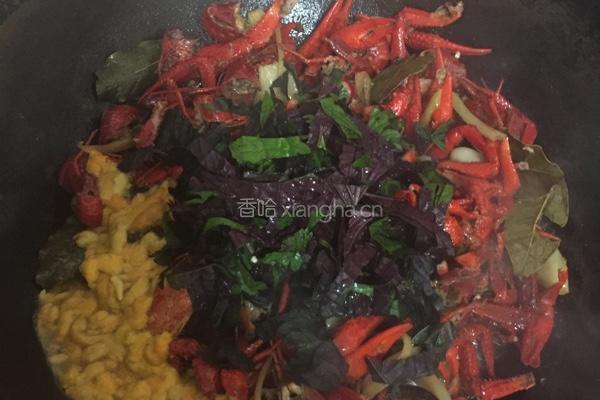 馋嘴小龙虾的做法图解9