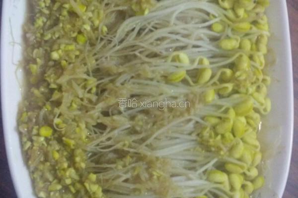 黄豆芽蒸肉的做法图解8