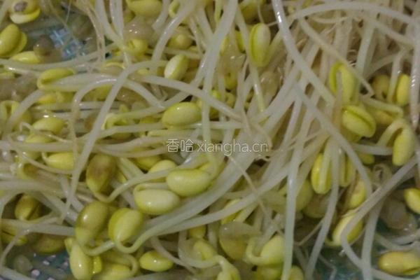 黄豆芽蒸肉的做法图解1