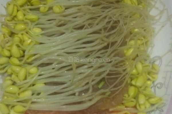 黄豆芽蒸肉的做法图解6