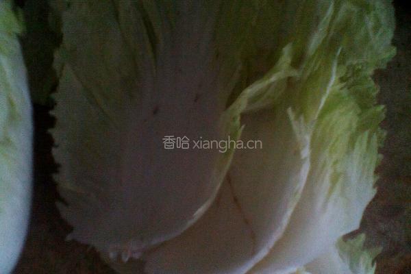 黑黑白菜的做法图解2