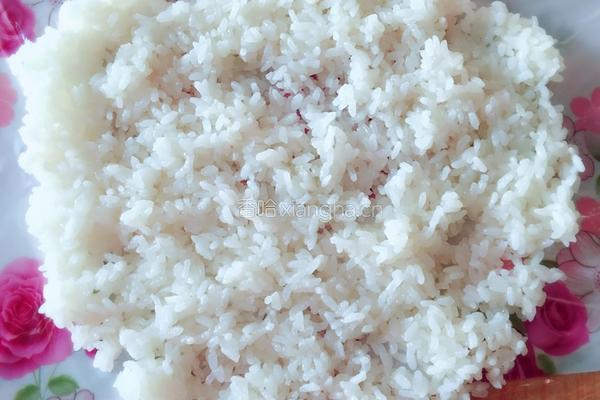 紫菜沙拉大饭团的做法图解3