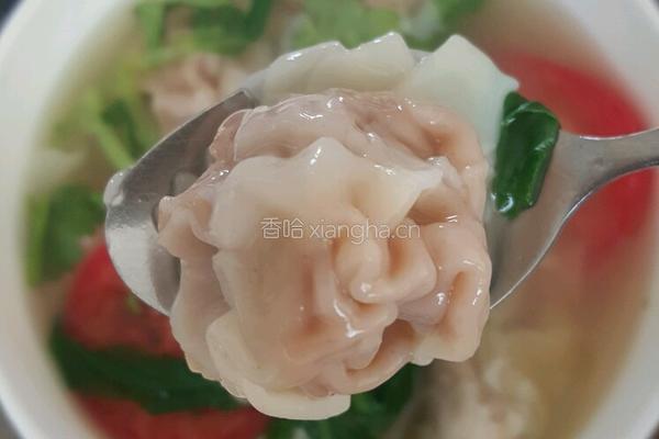西葫芦猪肉小馄饨的做法图解13