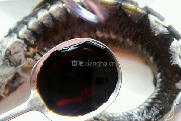 清蒸鲟鱼的做法图解6