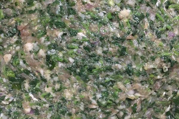 野菜猪肉饺子的做法图解4