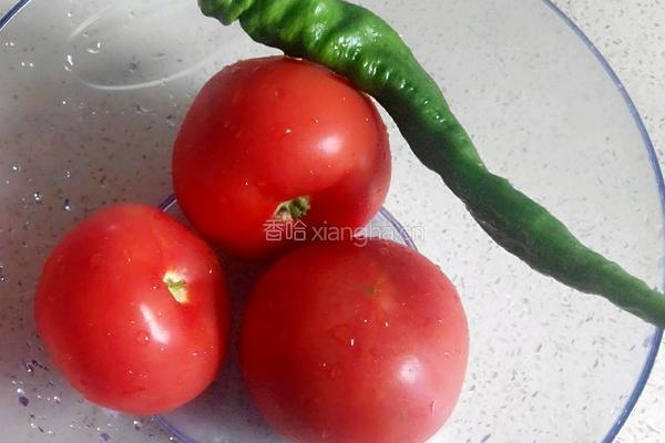 豆角拖叶儿(沾片子)的做法图解3