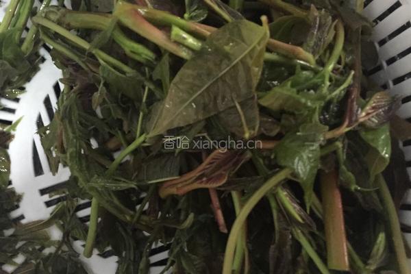 香椿凉拌豆腐的做法图解2