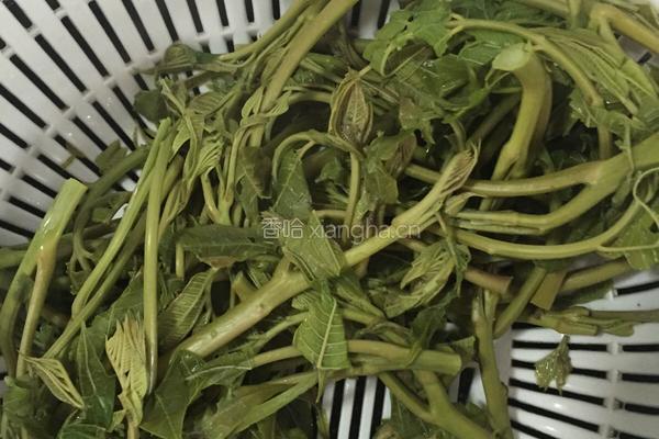 香椿凉拌豆腐的做法图解5